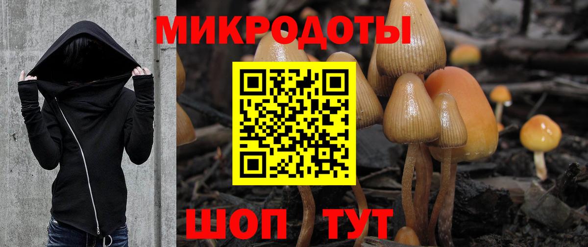 Псилоцибиновые грибы MAGIC MUSHROOMS  Вход с VPN  сколько стоит  Советская Гавань 